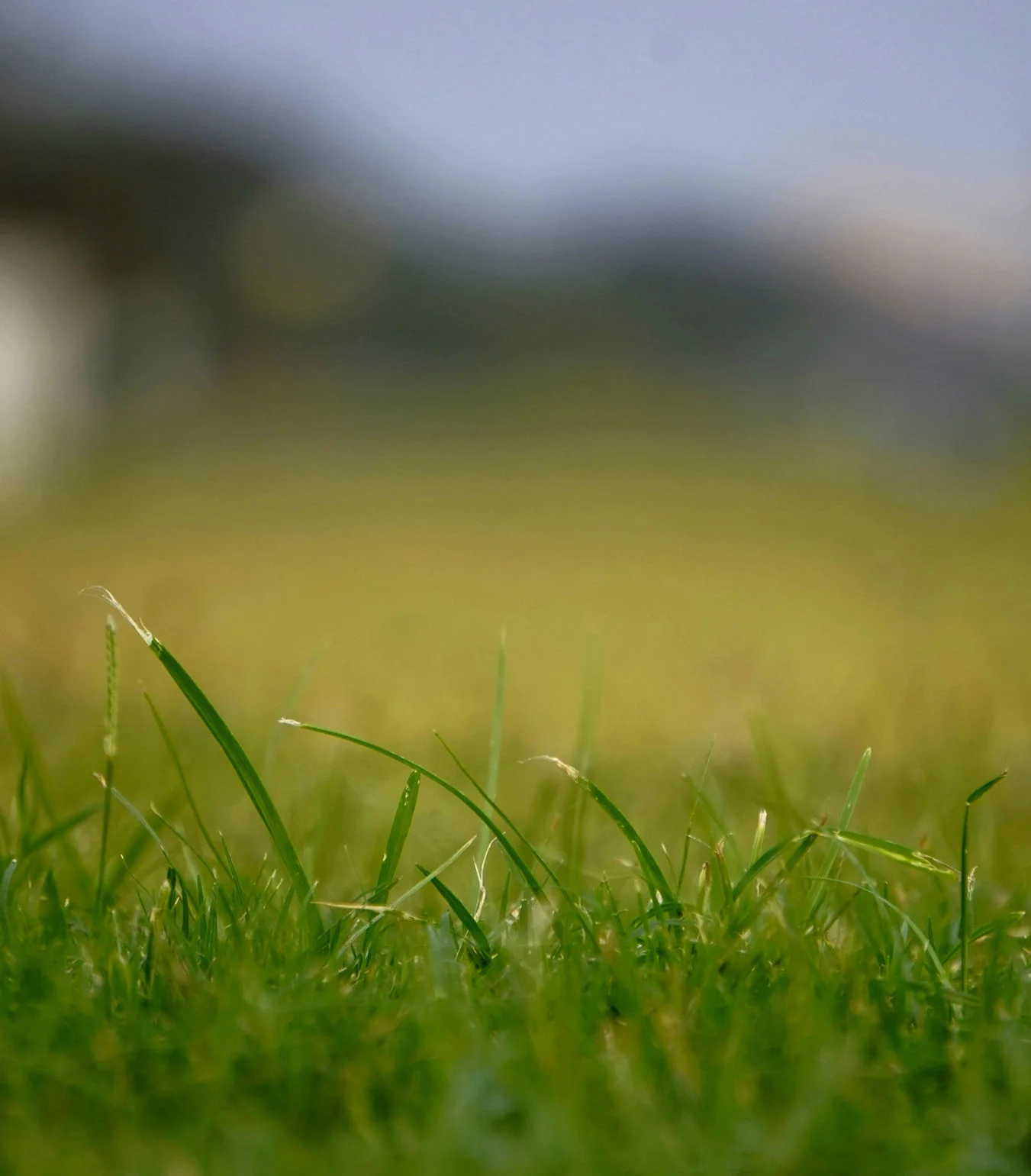 Artificial Grass Installation Melbourne