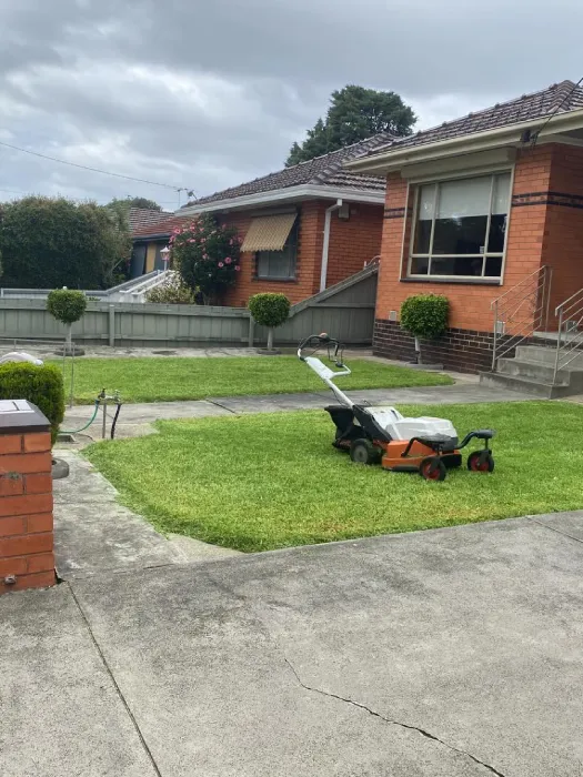 Garden after