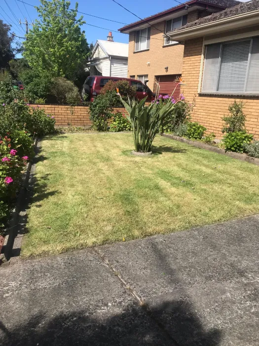 Garden after