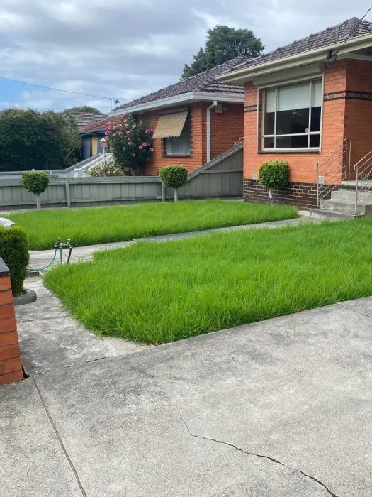 Garden before